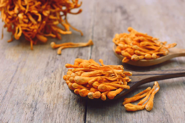 Exploring the Health Benefits of Medicinal Mushrooms and Ivy Brand's Commitment to Wellness